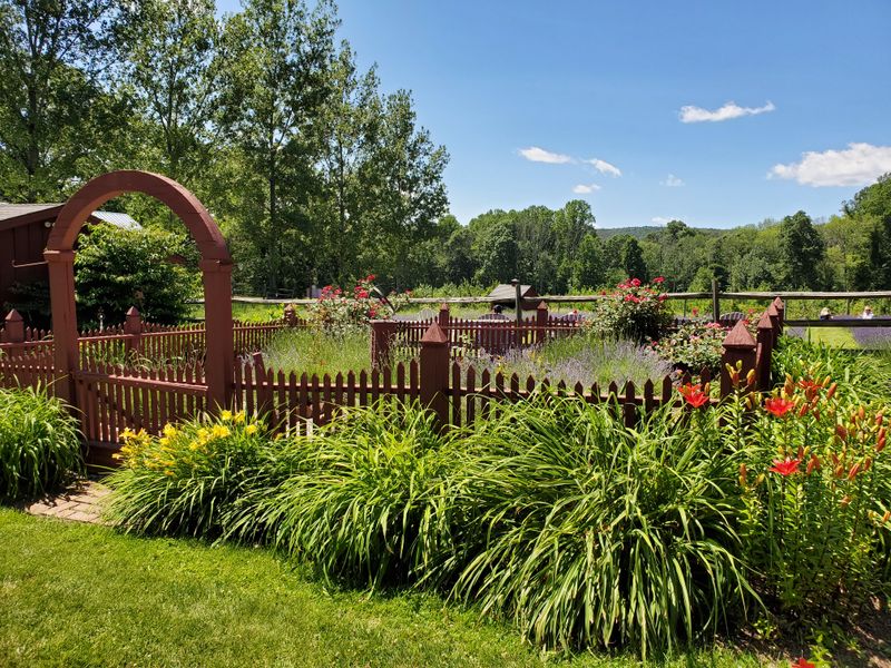 Peaceful Vibes That Heal The Soul