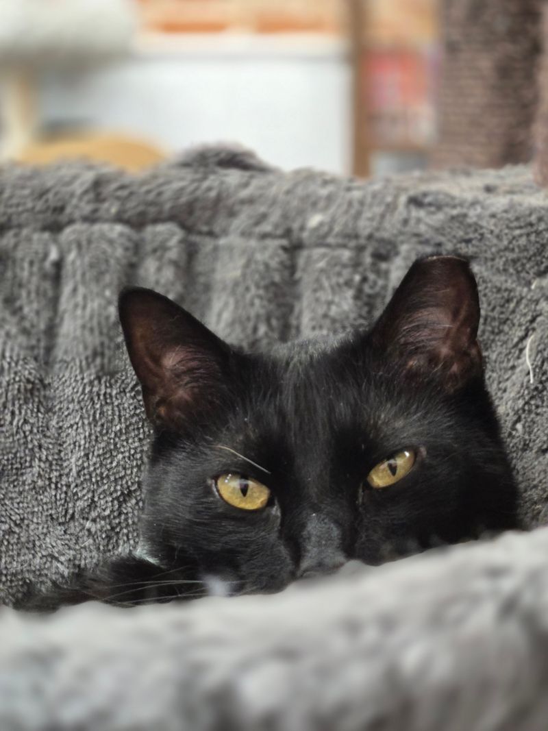 Friendly Staff Create a Welcoming Atmosphere for All Guests