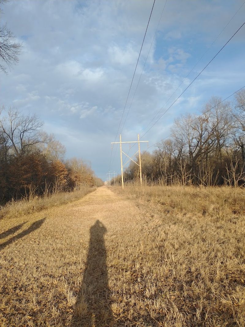Birdwatching Without the Pressure to Be an Expert