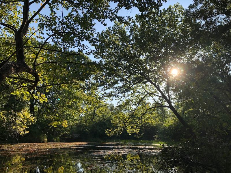 How to Time Your Visit for the Best Experience