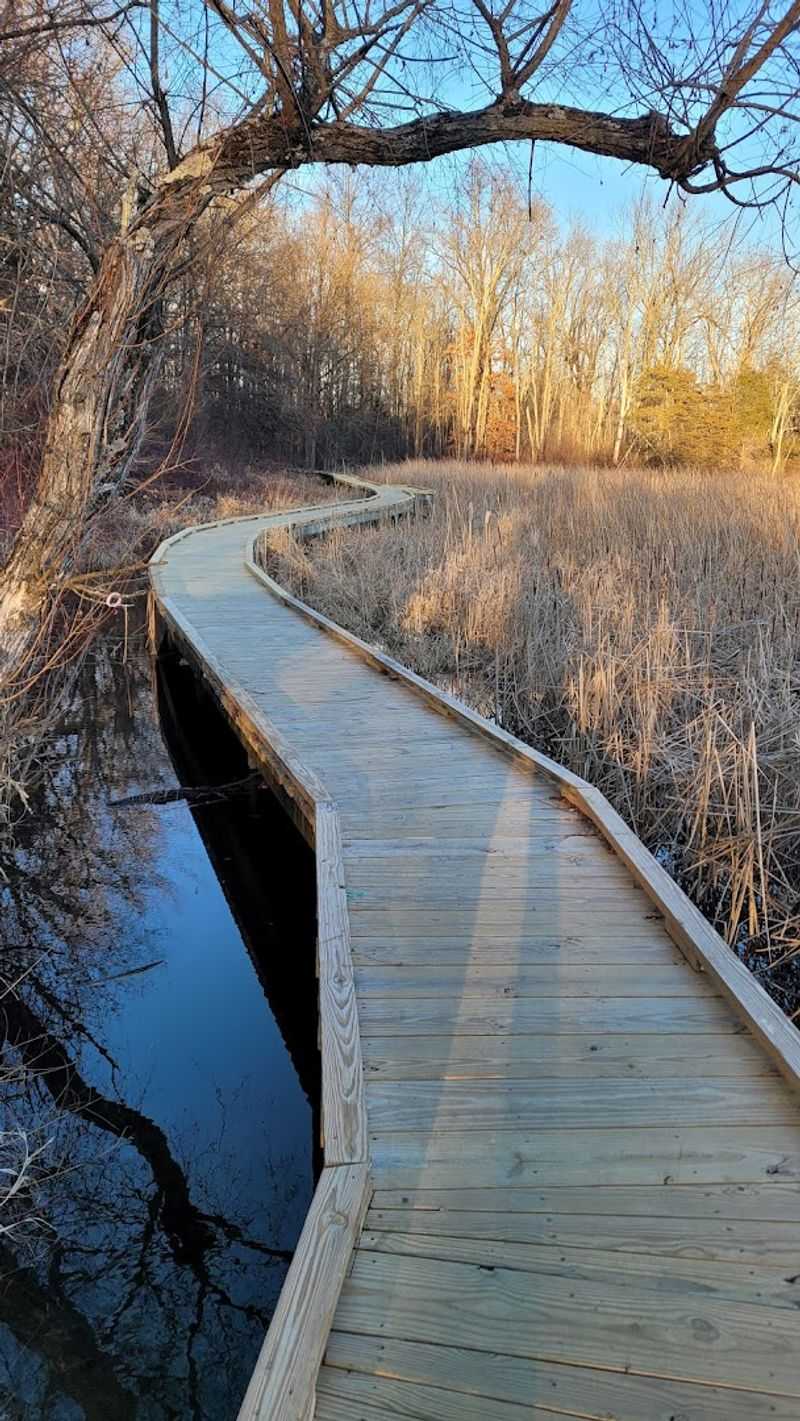 The Boardwalk Trail Experience Before You Reach the Bridge