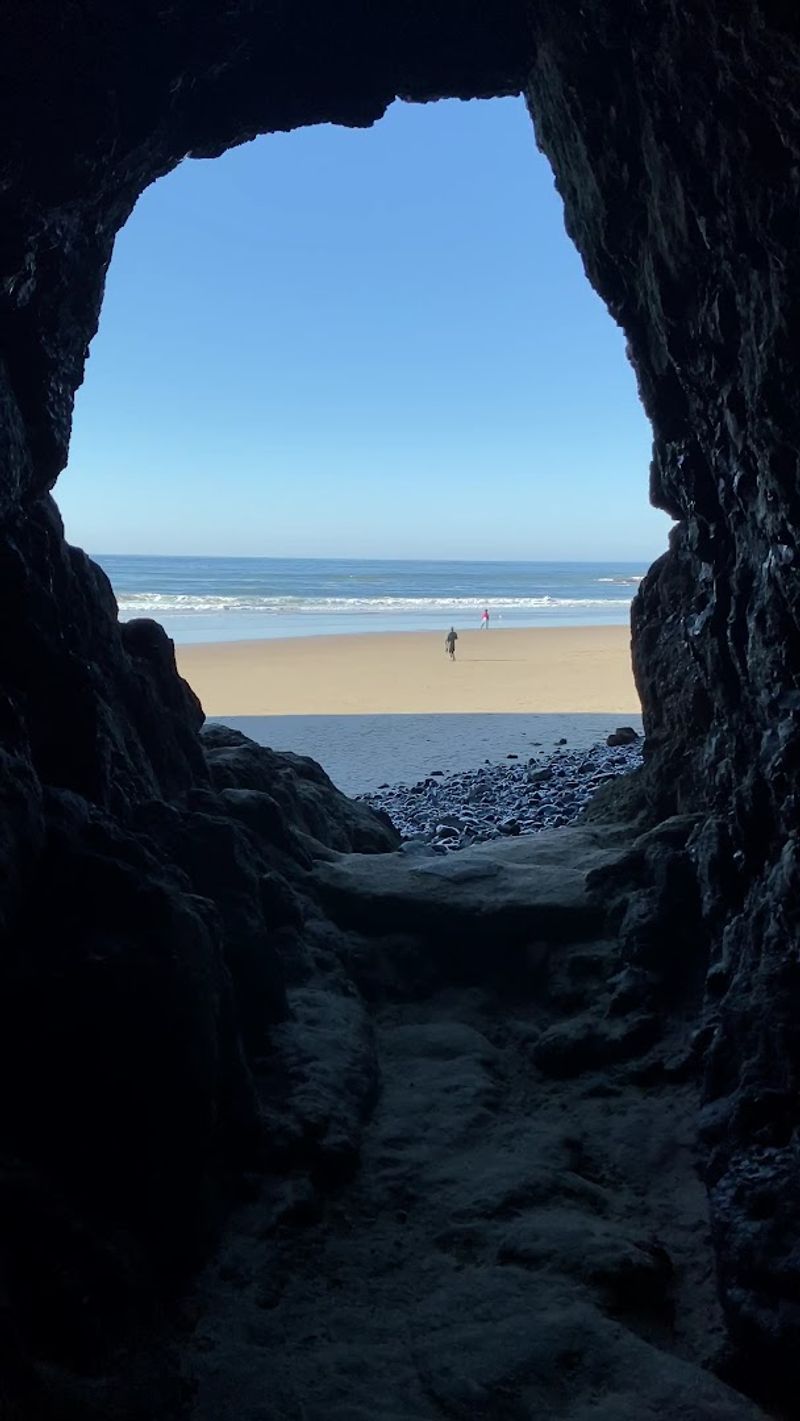 Wildlife Watching, Including Whales Offshore