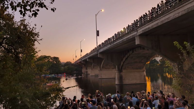 Timing Your Visit for the Best Bat Emergence