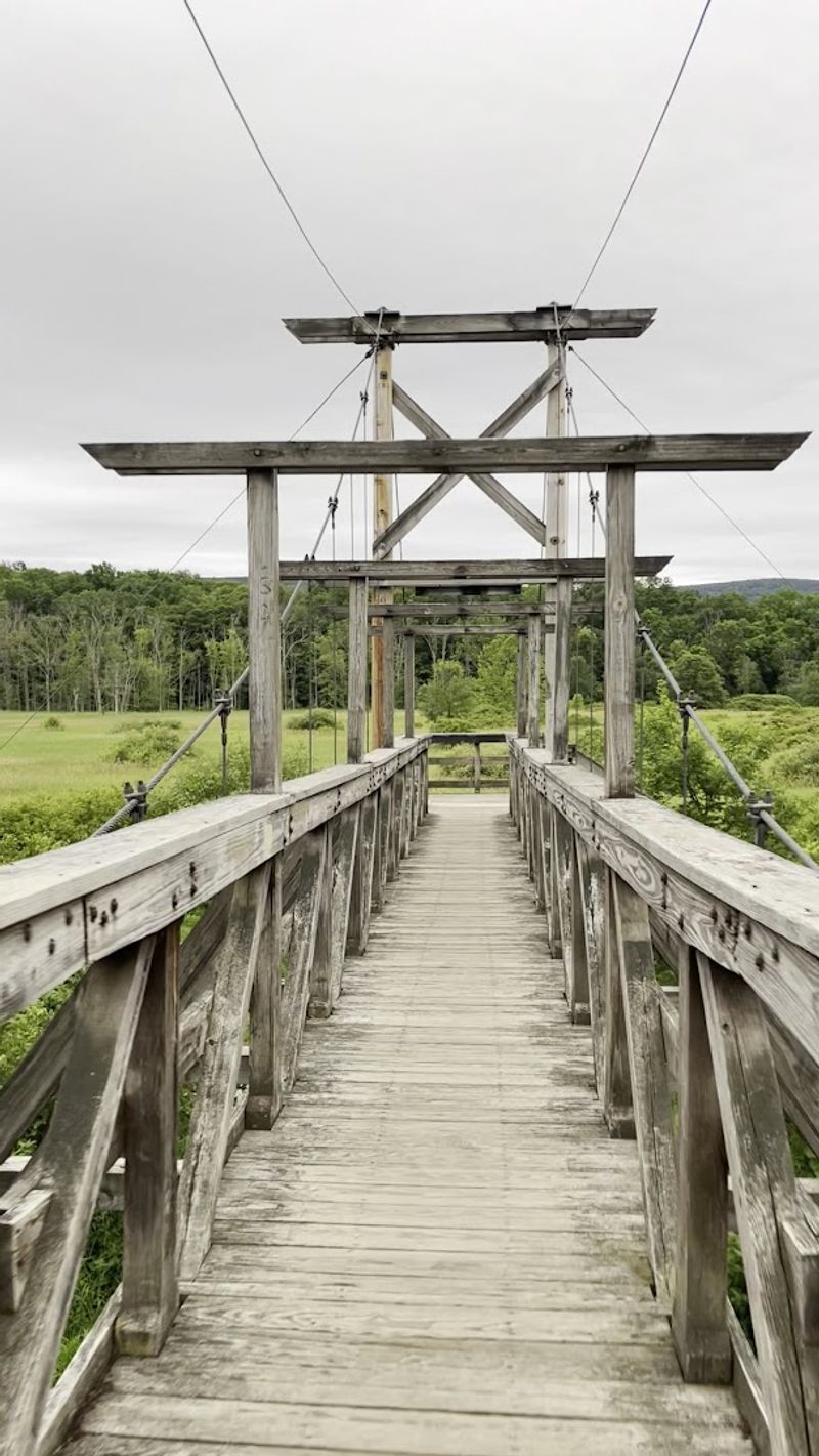 The Suspension Bridge Up Close: What Crossing It Actually Feels Like