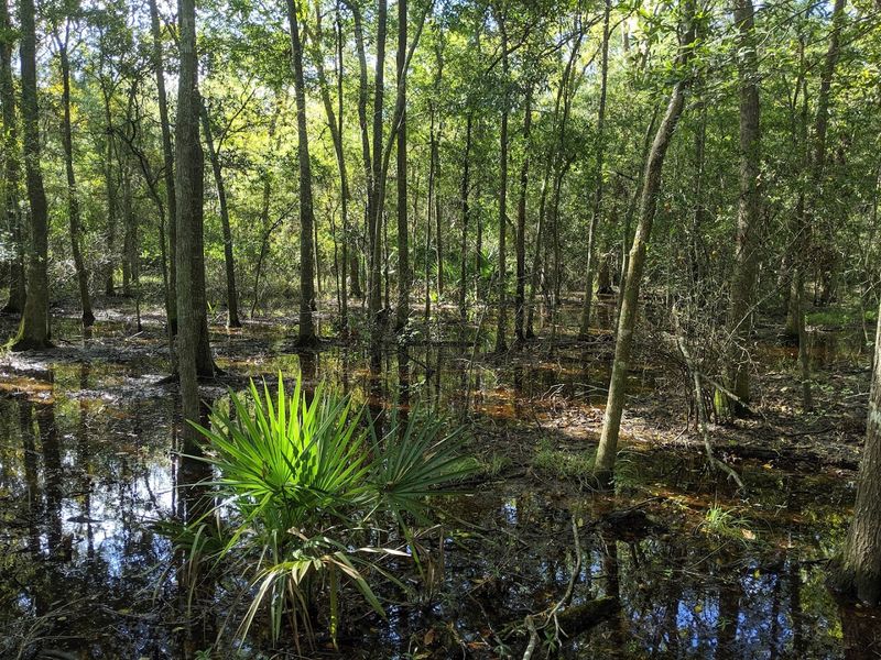 Why This Place Keeps Pulling People Back