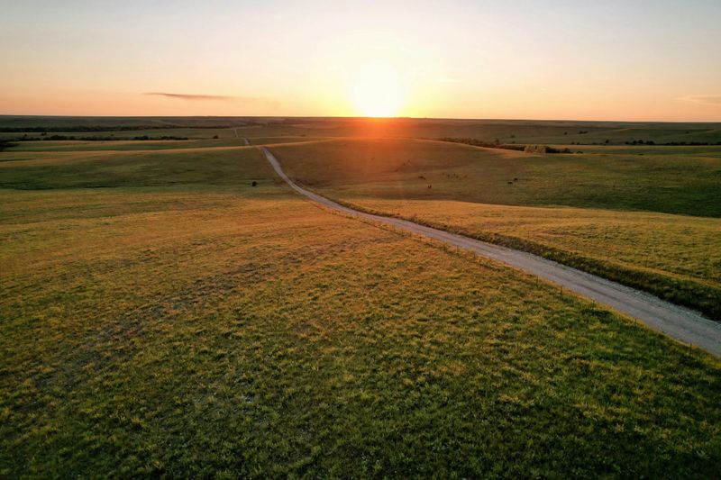 Prairie Landscapes That Feel Vast And Honest