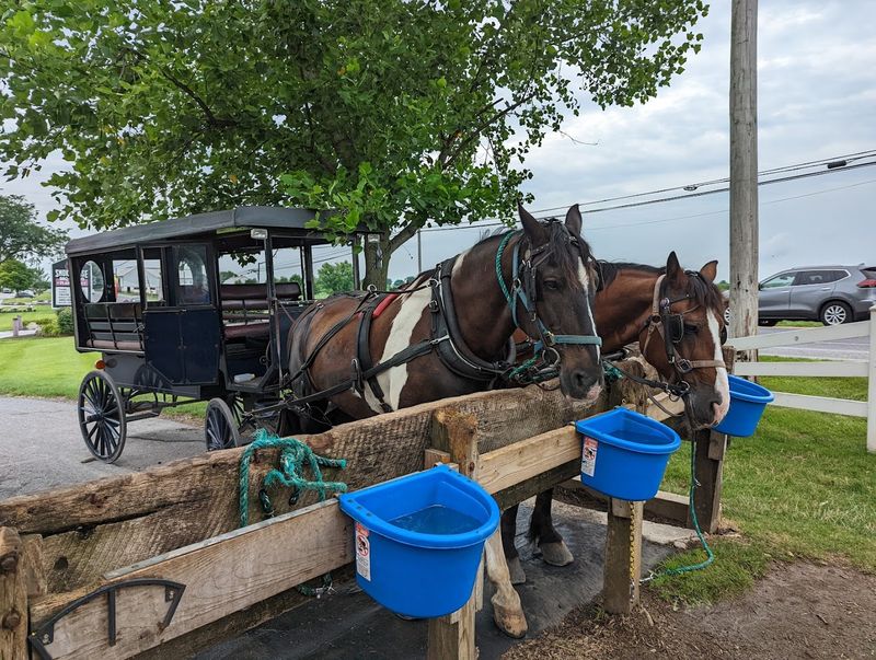 Aaron & Jessica’s Amish Buggy Rides 