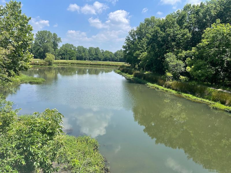 A Prairie, a Wetland, and a Forest Walk Into a Park