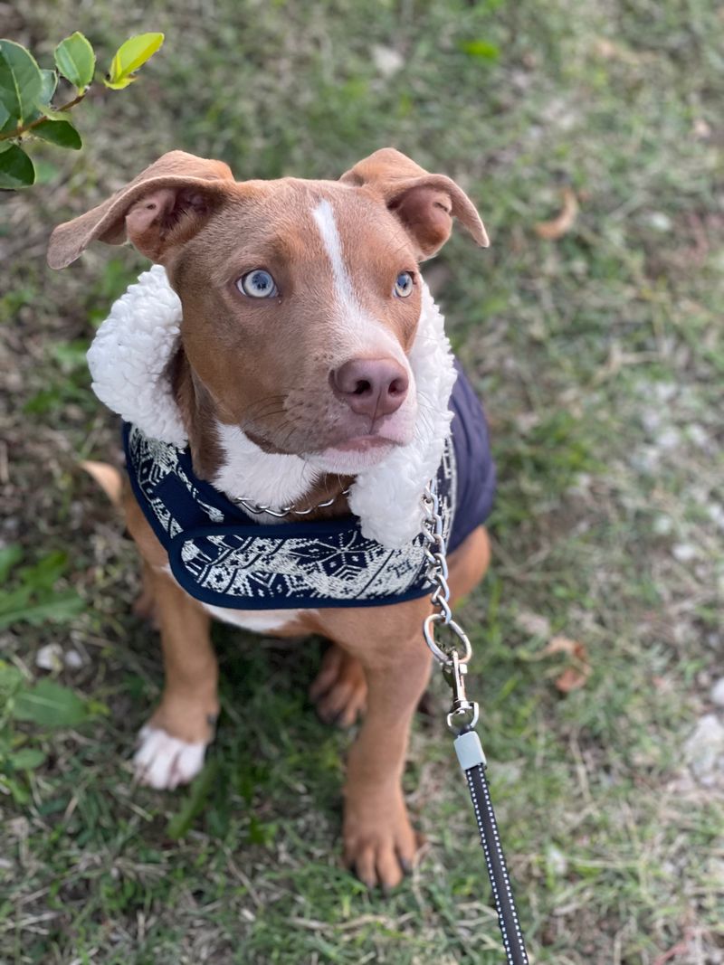 Practical Tips for Visiting