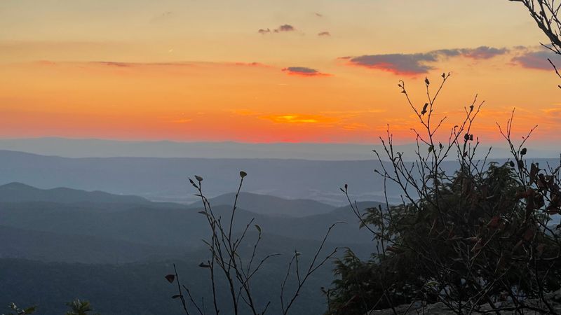 Photography Paradise