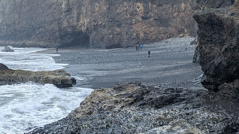The Tide Pools Are a World Unto Themselves