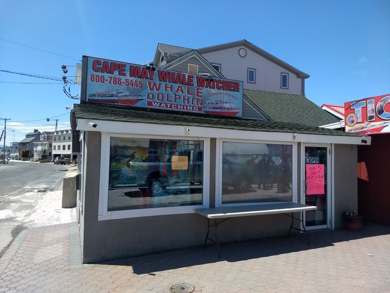 A Fleet That Puts Safety and Comfort First