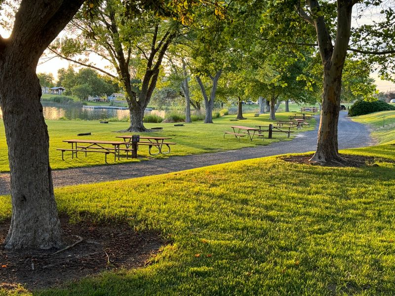 Seasonal Energy That Peaks Without Overcrowding