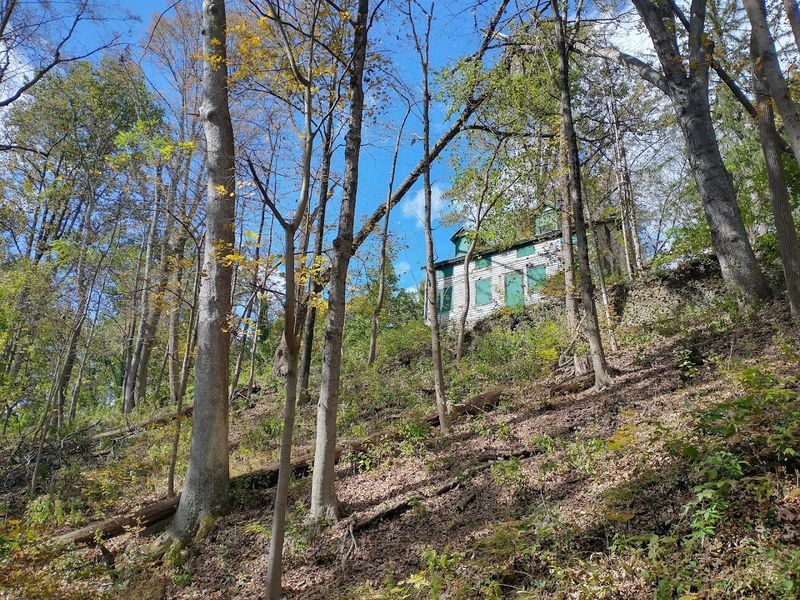 Wildlife Now Rules The Ruins