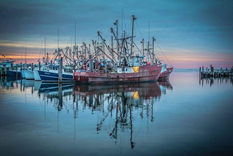 Working Commercial Fishing Fleet Right at Your Fingertips