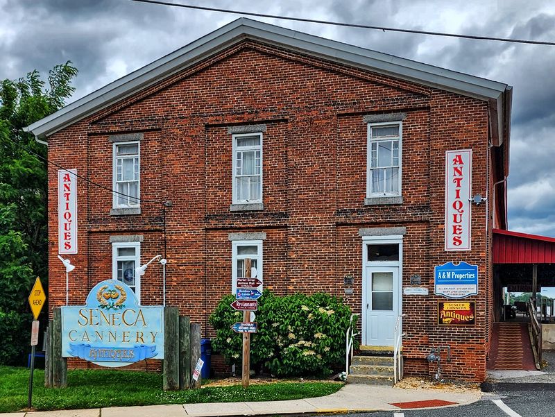 Google Maps Photos That Reveal A Steady Scene