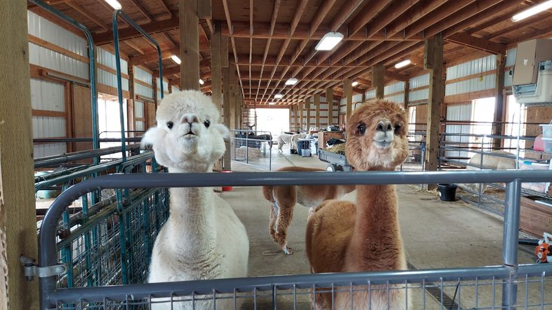 Guided Tours That Actually Teach You Something