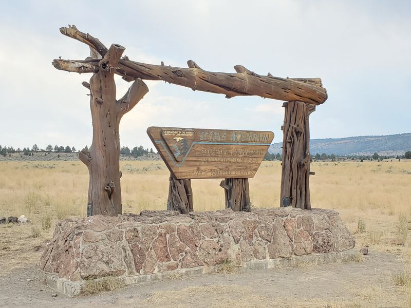 Basque Shepherd Arborglyphs Tell Stories in Aspen Bark