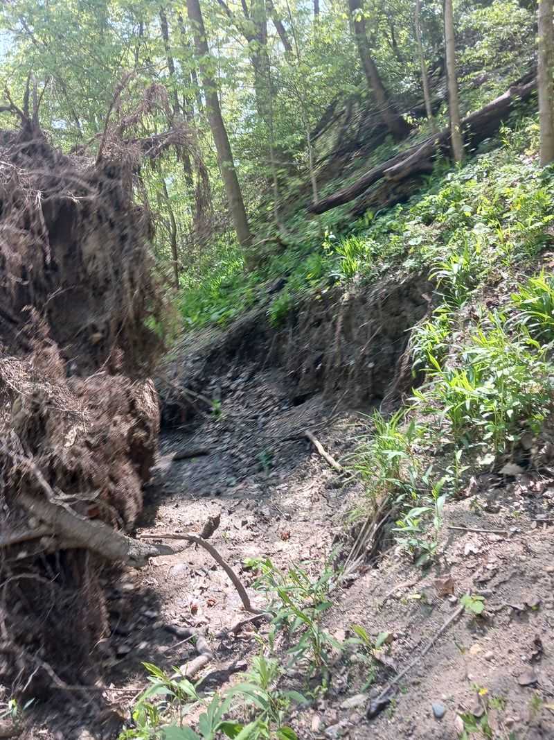 Search and Rescue Missions Skyrocket