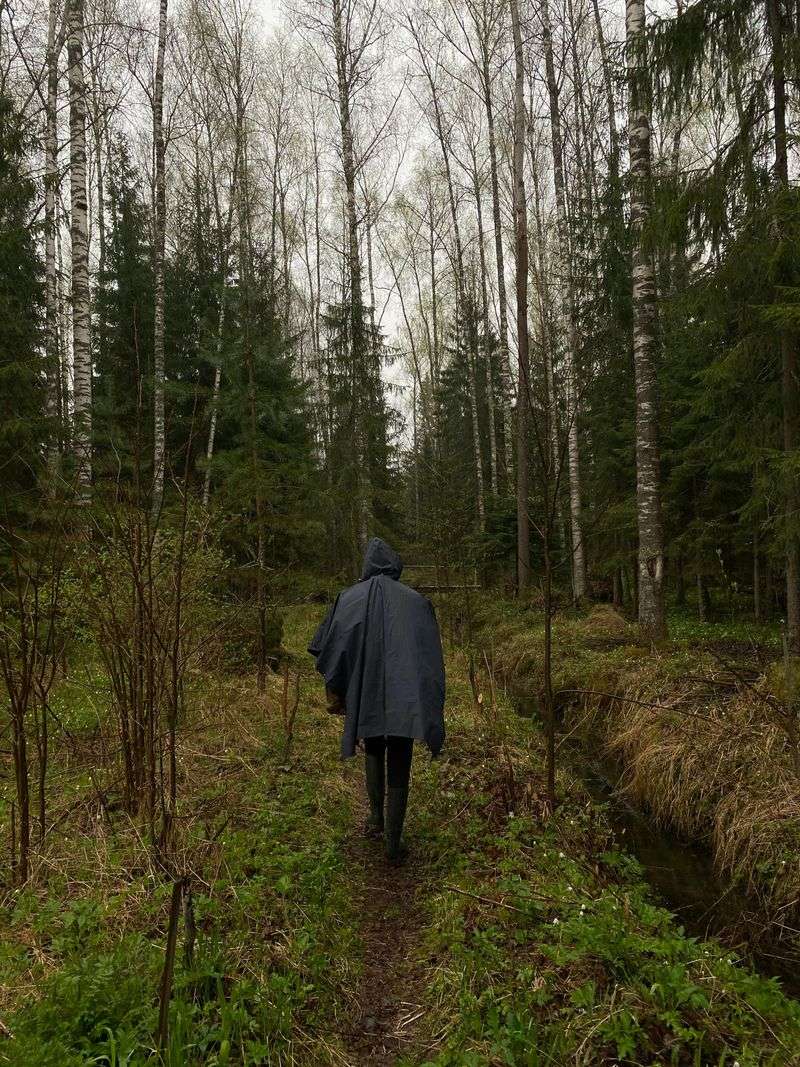 Peaceful Solitude That Is Increasingly Hard to Find