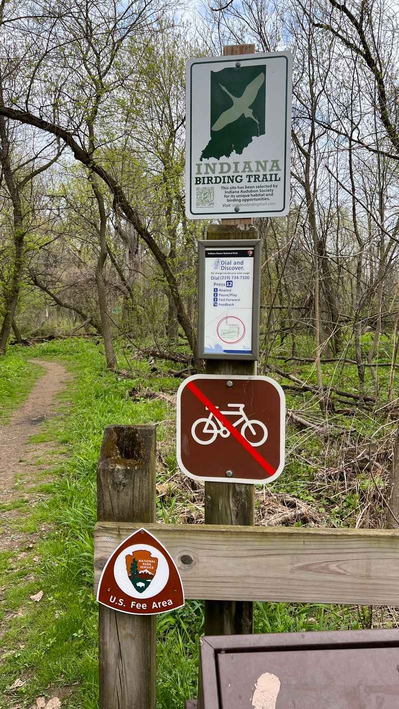 Over Thirty Bird Species Identified in One Morning