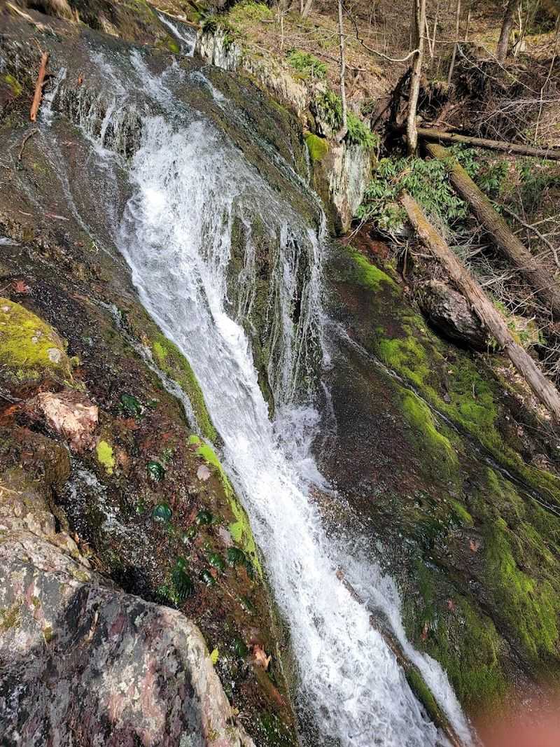 Eating Well Before and After the Hike: Local Food Worth the Stop