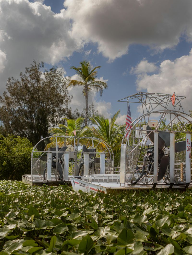 Airboat Tours Hurt Wetland Health Airboat Tours Hurt Wetland Health