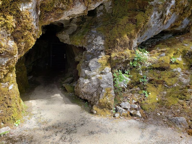 Practical Tips for Planning Your Oregon Caves Visit
