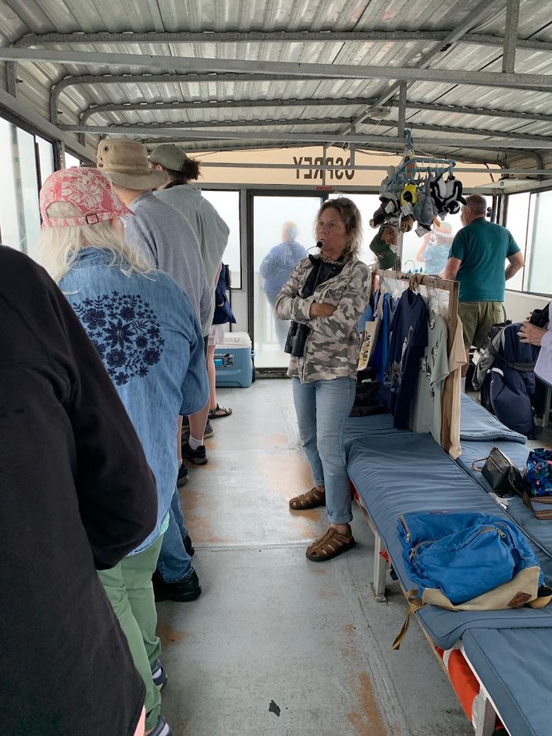 Perfect for All Ages and Experience Levels