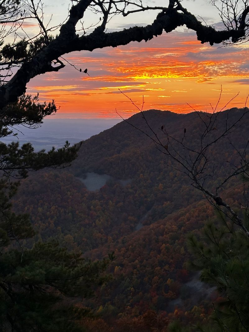 Seasonal Magic Throughout the Year