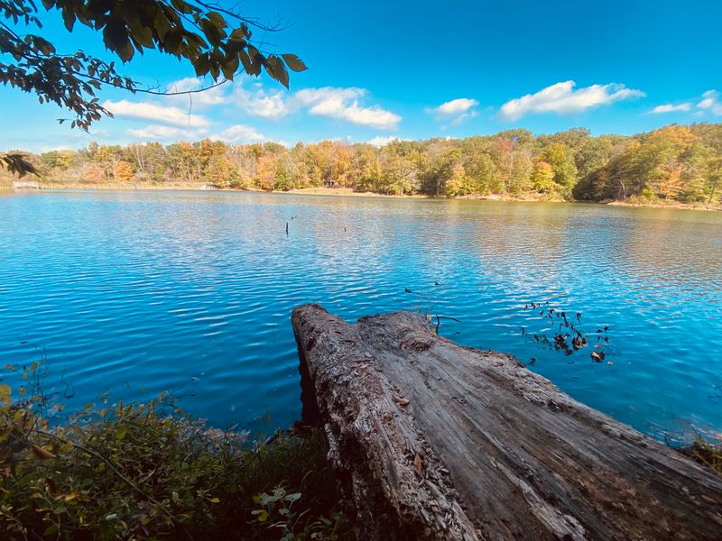 Tranquil Lake Views That Calm the Mind