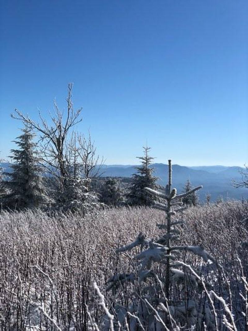 Seasonal Changes Paint Different Pictures