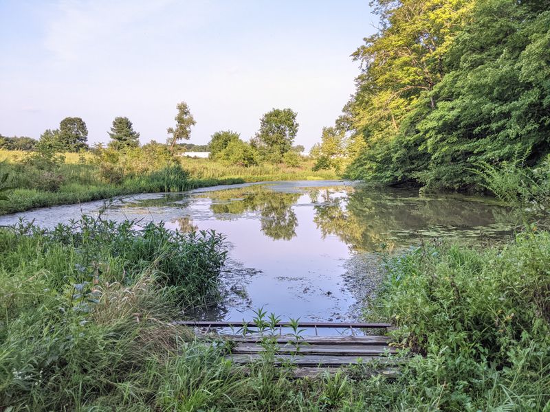 Diverse Landscapes That Prevent Boredom