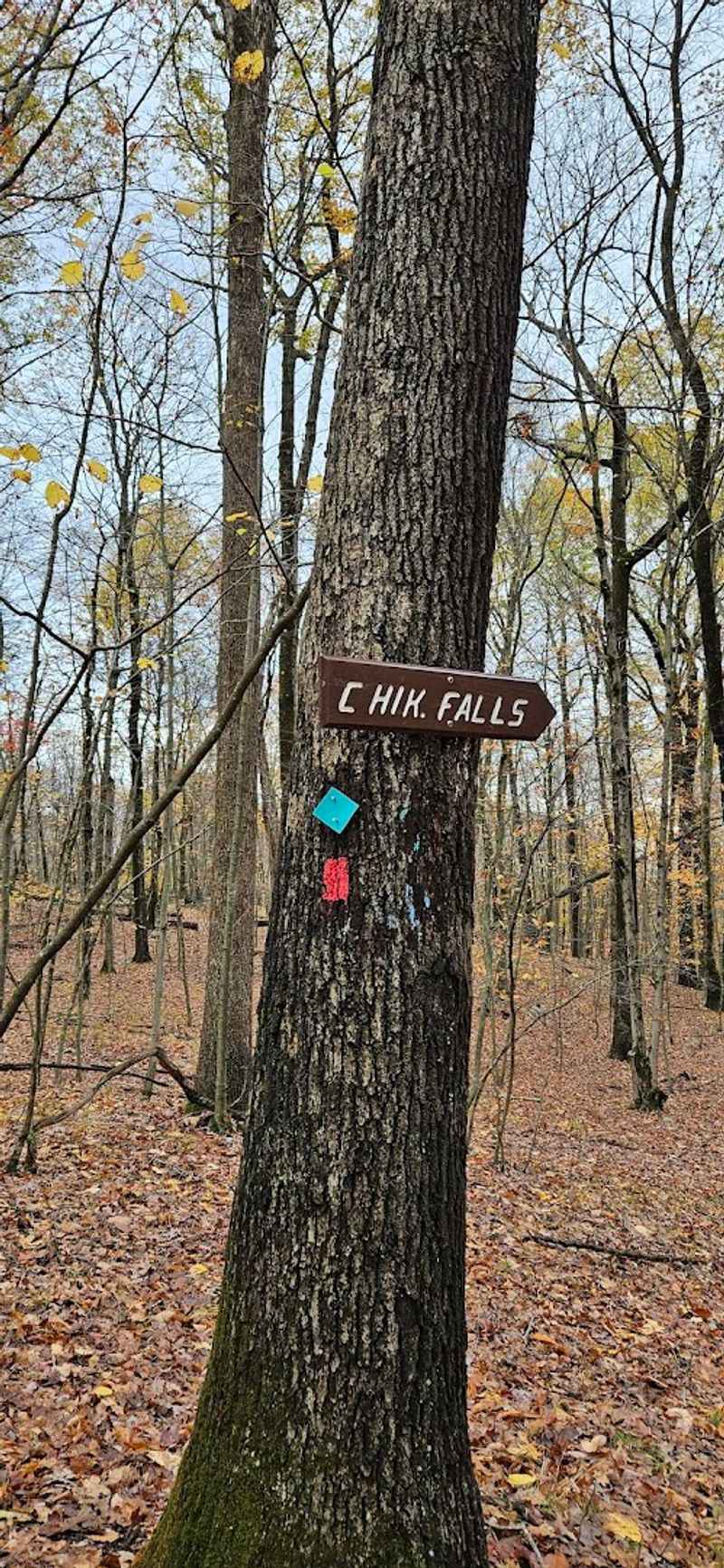 Trail Markings and Navigation Tips Worth Knowing