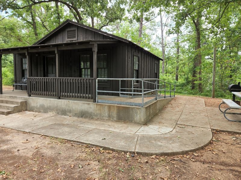 Cabins That Offer Comfort In The Woods