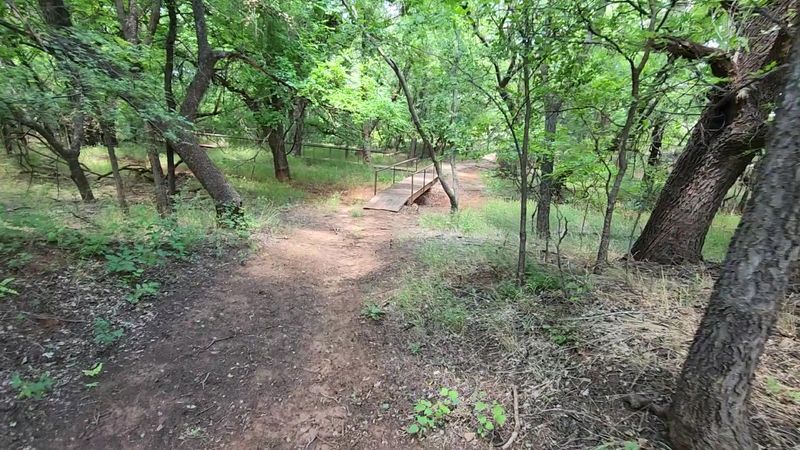 The Silence Is Almost Unsettling