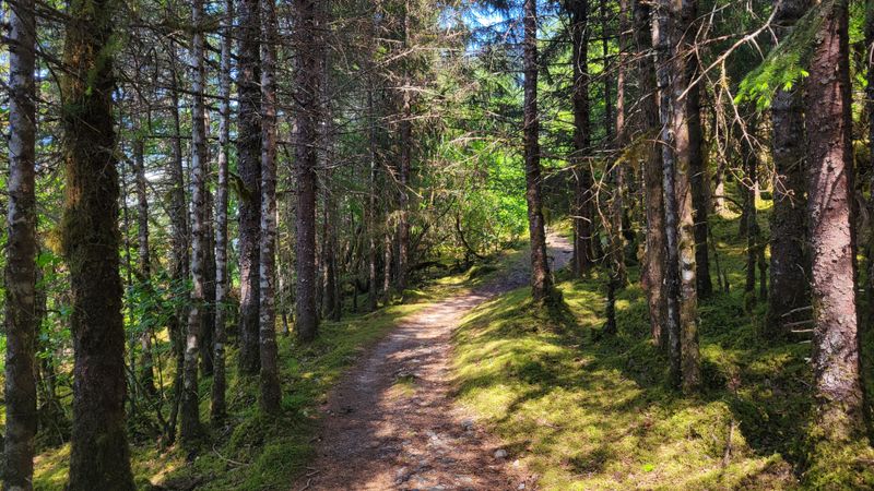 It Feels Like A Secret Even When It Isn’t