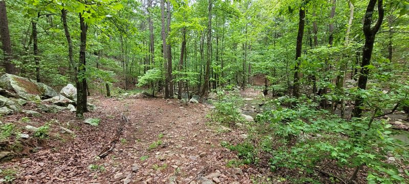 Hiking Trails Branch Off from Multiple Access Points