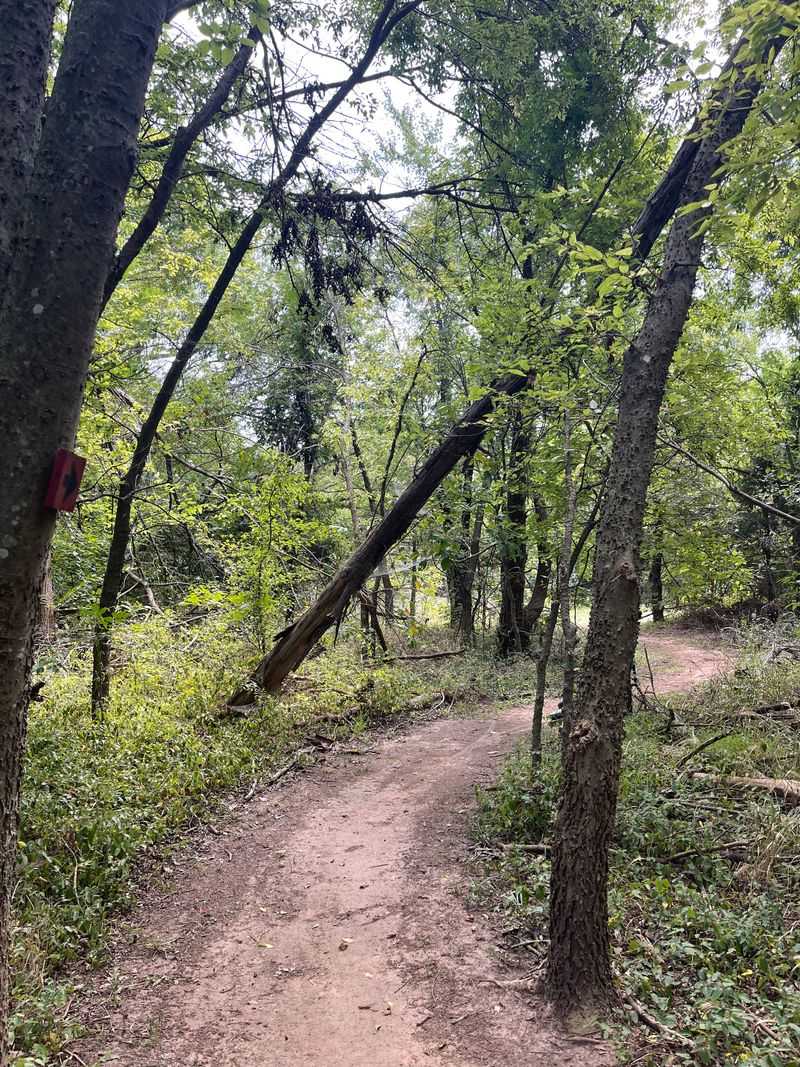 Seasonal Changes Transform the Experience