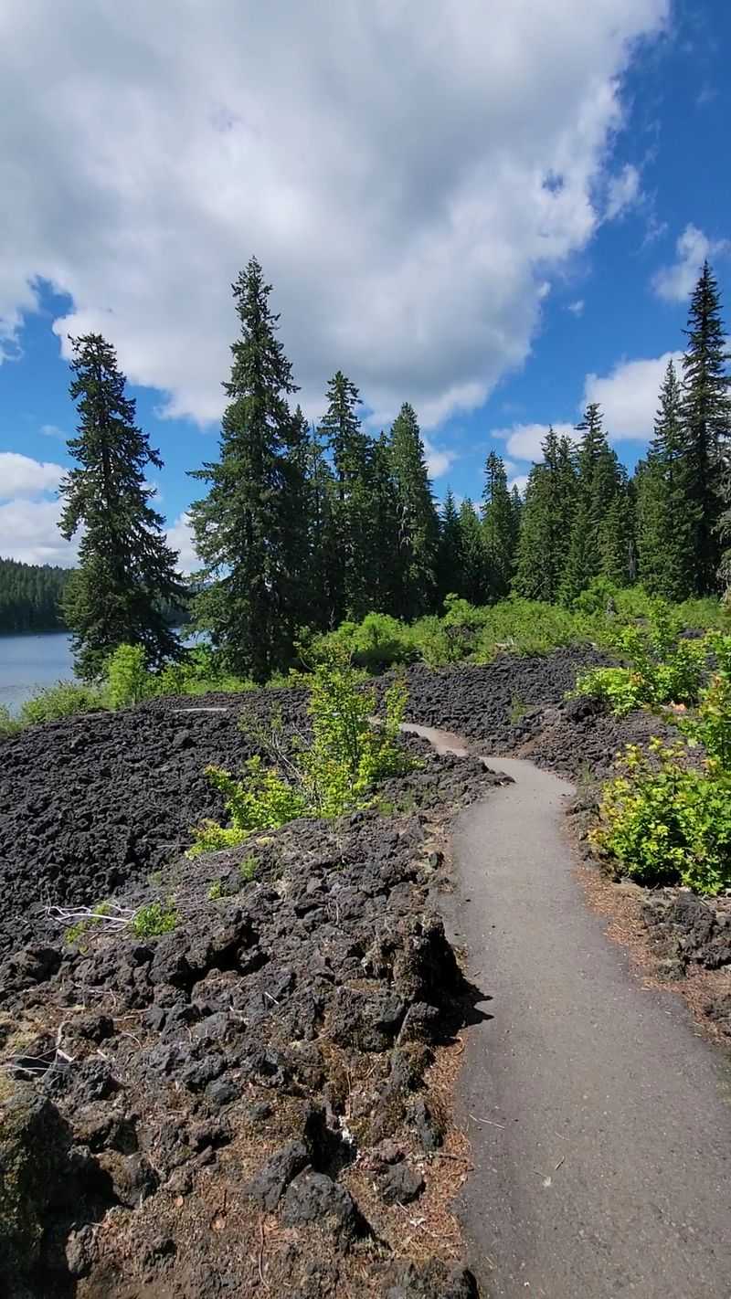 Lava Fields Take On Stark Beauty
