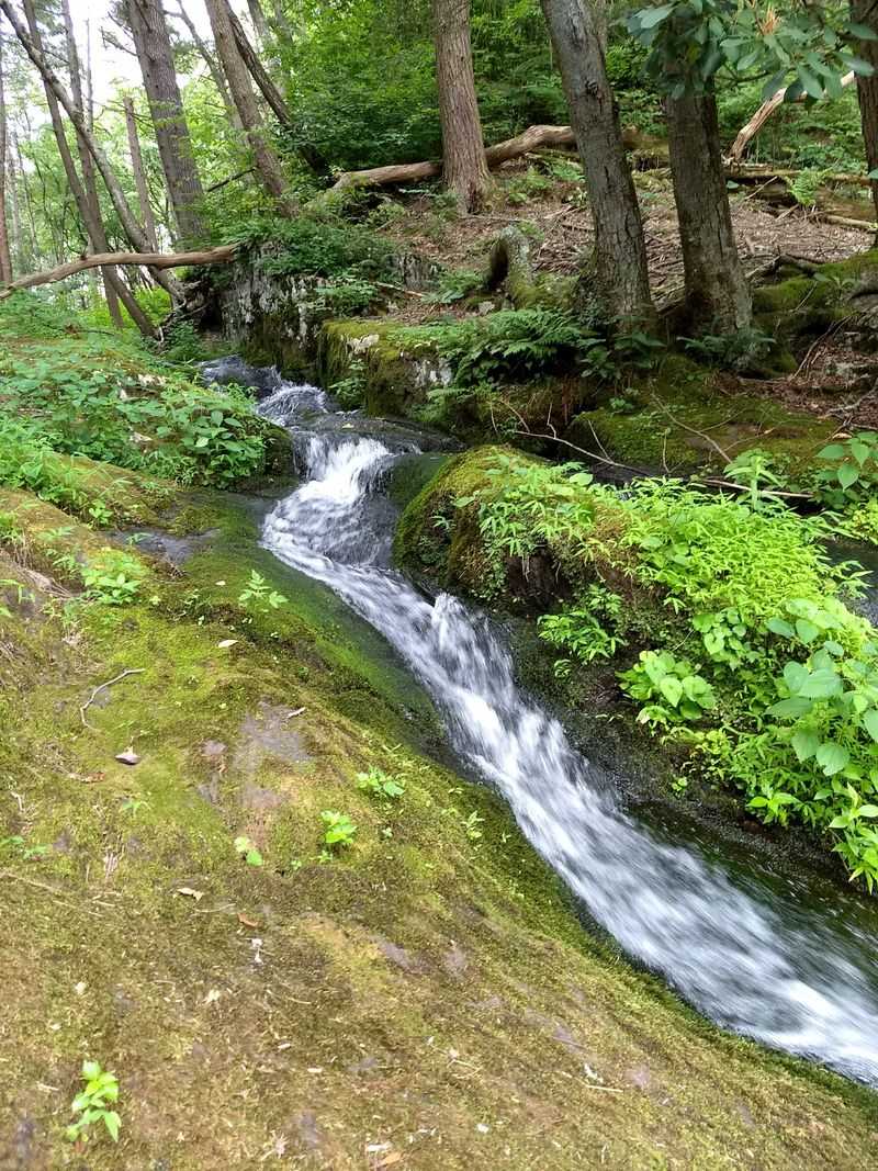 Historical Significance And Conservation Legacy