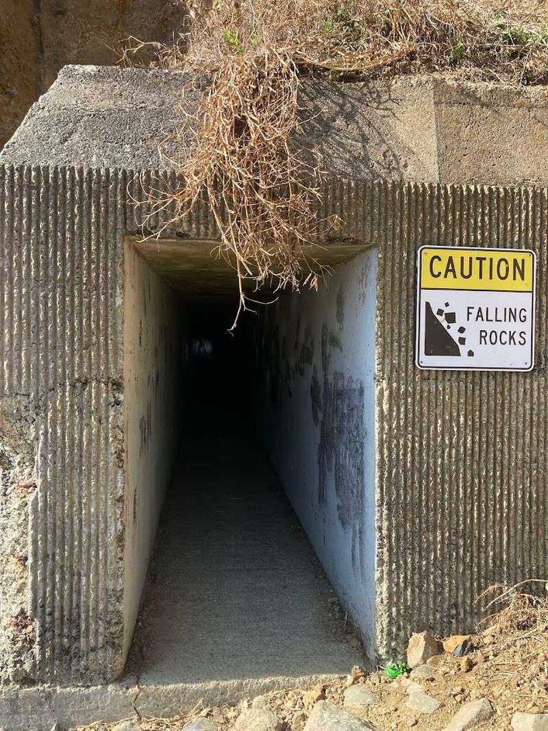 Safety Tips Every Visitor Should Know Before Going