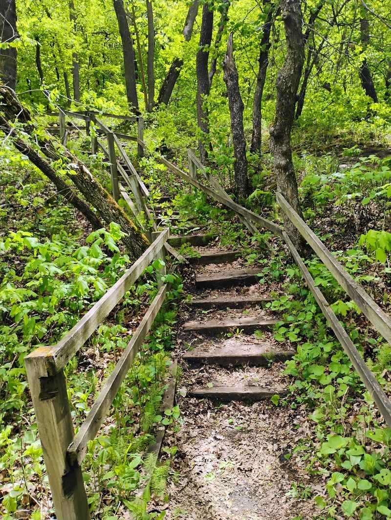 Bridges, Creek Crossings, And A Walk That Feels Closer Than The Map