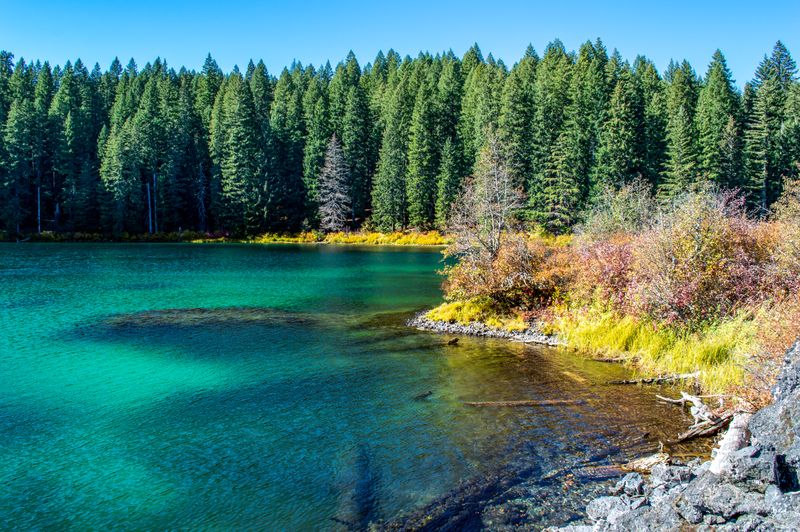 Cold Water Diving Reaches Optimal Conditions