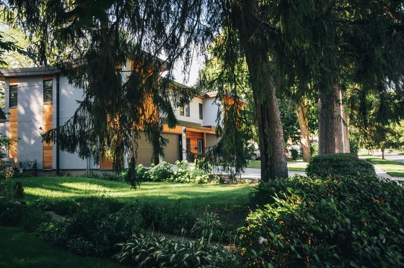 Checking On The Yard Or Property