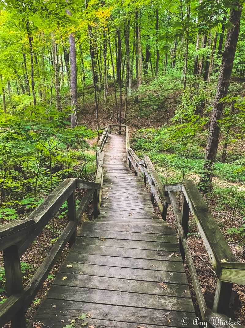 Miles of Scenic Hiking Trails