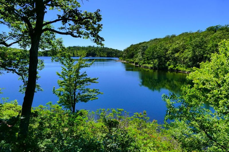 Sunfish Pond Overlook