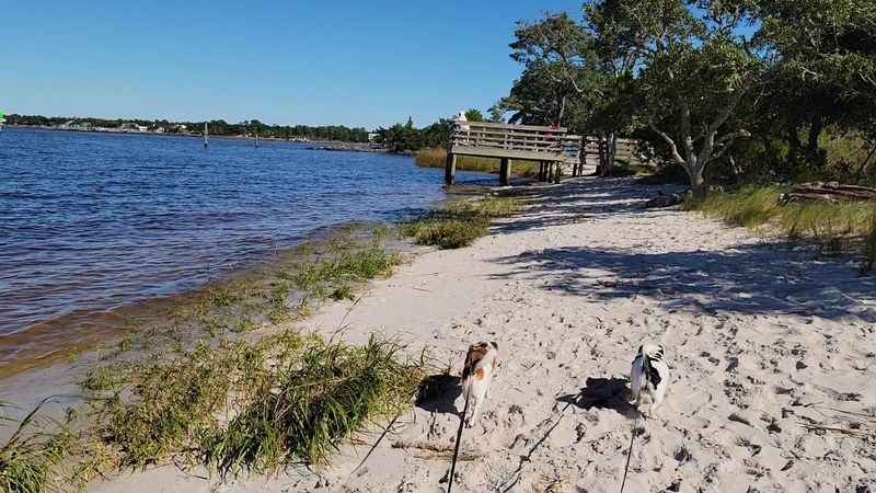 Carolina Beach