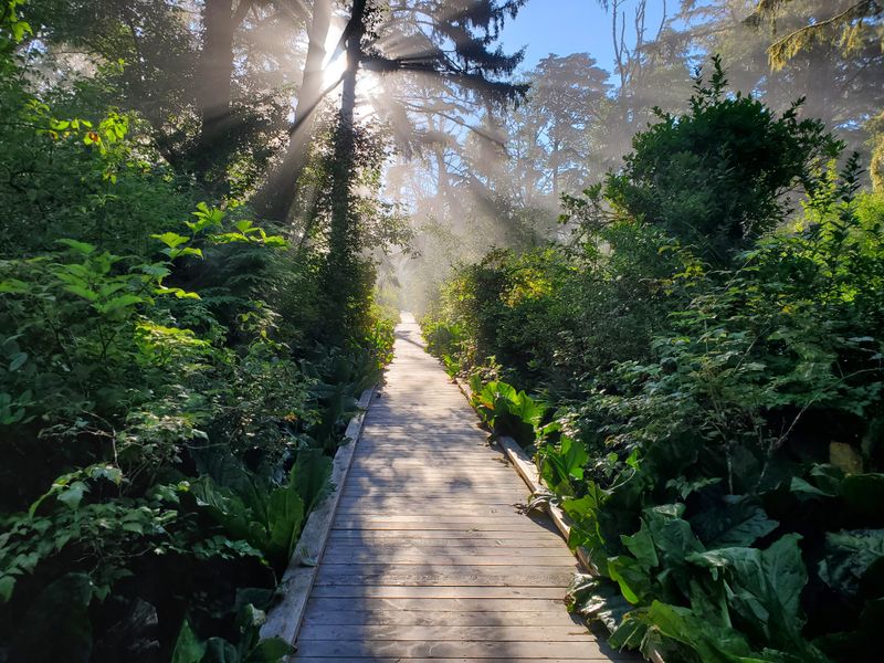 Dog-Friendly Adventure for Furry Companions