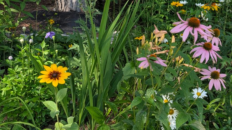 ZooMontana Botanical Gardens